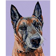 Painting by Numbers - Old Wolfman, 40x50 cm, stretched canvas on frame - Painting by Numbers