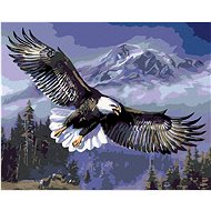 Painting by Numbers - Flying Eagle, 50x40 cm, stretched canvas on frame - Painting by Numbers