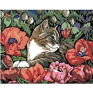 Painting by Numbers - Cat and Poppy, 50x40 cm, stretched canvas on frame - Painting by Numbers