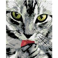 Painting by Numbers - Cat, 40x50 cm, stretched canvas on frame - Painting by Numbers