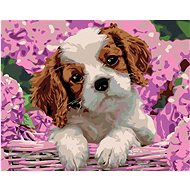 Painting by Numbers - Puppy and Hydrangea, 100x80 cm, without frame and without canvas switching off - Painting by Numbers