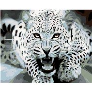 Painting by numbers - Black and white leopard, 50x40 cm, stretched canvas on frame - Painting by Numbers
