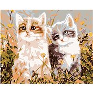 Painting by Numbers - Kittens and Meadow Flowers, 50x40 cm, stretched canvas on frame - Painting by Numbers