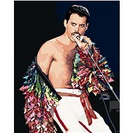 Gemälde nach Zahlen - Freddie Mercury, 40x50 cm, Leinwand auf Keilrahmen - Malen nach Zahlen