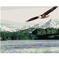 Painting by Numbers - Sea Eagle, 50x40 cm, stretched canvas on frame - Painting by Numbers