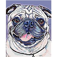 Painting by Numbers - Pug, 40x50 cm, stretched canvas on frame - Painting by Numbers
