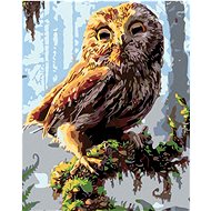 Painting by Numbers - Owl, 40x50cm on Canvas Stretched over Frame - Painting by Numbers
