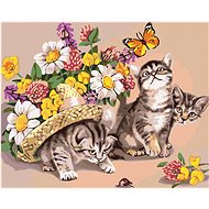 Painting by numbers - Kittens with hat and flowers, 50x40 cm, stretched canvas on frame - Painting by Numbers