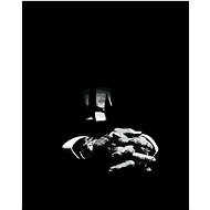 Painting by Numbers - Man in the Dark, 40x50 cm, stretched canvas on frame - Painting by Numbers