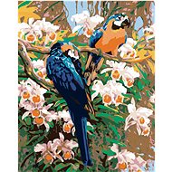 Painting by Numbers - Parrots II, 40x50 cm, stretched canvas on frame - Painting by Numbers