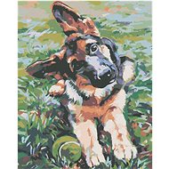 Painting by Numbers - Shepherd Puppy, 40x50 cm, stretched canvas on frame - Painting by Numbers