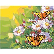 Painting by Numbers - Butterflies on Daisies, 50x40 cm, without frame and without turning off the ca - Painting by Numbers