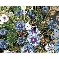 Painting by Numbers - Cornflowers blue, 50x40 cm, without frame and without turning off the canvas - Painting by Numbers