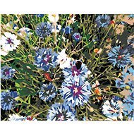 Malen nach Zahlen - Kornblumen Blau, 50x40 cm, ohne Leinwand auf Rahmen - Malen nach Zahlen