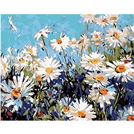 Painting by Numbers - Daisies, 50x40 cm, without frame and without turning off the canvas - Painting by Numbers