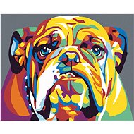 Painting by Numbers - Bulldog II, 50x40 cm, off canvas on frame - Painting by Numbers