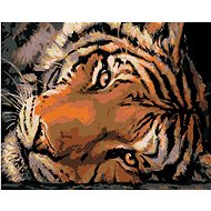 Painting by Numbers - Bright Tiger View, 50x40 cm, stretched canvas on frame - Painting by Numbers