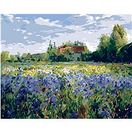 Painting by Numbers - House in the Country, 50x40 cm, stretched canvas on frame - Painting by Numbers