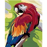 Painting by Numbers - Colored Parrot, 40x50 cm, stretched canvas on frame - Painting by Numbers