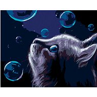Painting by Numbers - Cat and Bubbles at Night, 50x40 cm, stretched canvas on frame - Painting by Numbers
