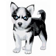 Painting by Numbers - Blue-eyed Husky, 40x50 cm, stretched canvas on frame - Painting by Numbers