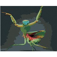 Painting by Numbers - Mantis, 50x40 cm, stretched canvas on frame - Painting by Numbers