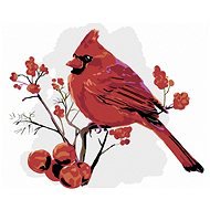 Maľovanie podľa čísel - Červený vták v jarabinách, 50 x 40 cm, napnuté plátno na ráme - Maľovanie podľa čísel