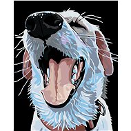 Painting by numbers - Dog with red collar, 40x50 cm, stretched canvas on frame - Painting by Numbers