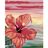 Painting by Numbers - Pink Hibiscus, 40x50 cm, stretched canvas on frame - Painting by Numbers