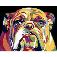 Painting by Numbers - Bulldog, 100x80 cm, without frame and without canvas shut off - Painting by Numbers