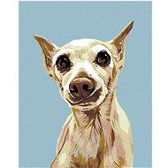 Painting by Numbers - Scared Dog, 40x50 cm, stretched canvas on frame - Painting by Numbers