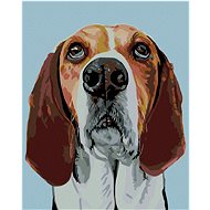 Painting by Numbers - Beagle, 40x50 cm, stretched canvas on frame - Painting by Numbers