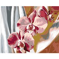 Painting by Numbers - Pink Orchid, 50x40 cm, stretched canvas on frame - Painting by Numbers