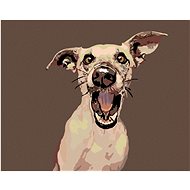 Painting by Numbers - Surprised Dog, 50x40 cm, stretched canvas on frame - Painting by Numbers