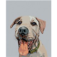 Painting by numbers - Dog with green collar, 40x50 cm, stretched canvas on frame - Painting by Numbers