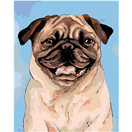 Painting by Numbers - Brown Pug, 40x50 cm, stretched canvas on frame - Painting by Numbers