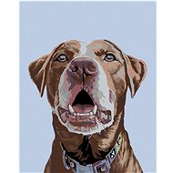 Painting by Numbers - Brown Labrador, 40x50 cm, stretched canvas on frame - Painting by Numbers