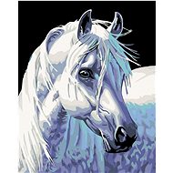Painting by Numbers - White Horse II, 40x50 cm, stretched canvas on frame - Painting by Numbers