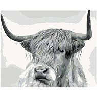Painting by Numbers - Black and White Buffalo Straight View, 50x40 cm, stretched canvas on frame - Painting by Numbers