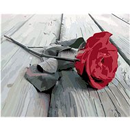 Painting by Numbers - Laid Rose, 50x40 cm, stretched canvas on frame - Painting by Numbers