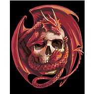 Painting by Numbers - Skull and Dragon, 40x50 cm, stretched canvas on frame - Painting by Numbers