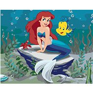 Painting by Numbers - The Little Mermaid, 100x80 cm, stretched canvas on frame - Painting by Numbers