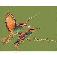 Painting by Numbers - Two Hummingbirds, 50x40 cm, stretched canvas on frame - Painting by Numbers