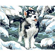 Painting by Numbers - Little Husky, 50x40 cm, stretched canvas on frame - Painting by Numbers