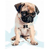 Painting by Numbers - Cute Pug, 40x50 cm, without frame and without switching off the canvas - Painting by Numbers