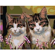 Painting by Numbers - Cats in the Grass, 50x40 cm, stretched canvas on frame - Painting by Numbers