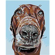 Painting by Numbers - Dog with a Big Snout, 80x100 cm, stretched canvas on frame - Painting by Numbers