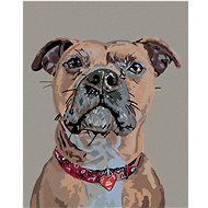 Painting by numbers - Dog at attention and heart collar, 40x50 cm, stretched canvas on frame - Painting by Numbers