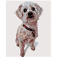 Painting by Numbers - Maltese Dog, 80x100 cm, stretched canvas on frame - Painting by Numbers