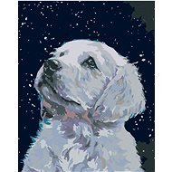 Painting by Numbers - White Puppy, 40x50cm on Canvas Stretched over Frame - Painting by Numbers